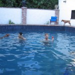IMG_2595