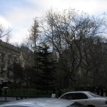 IMG_4448