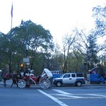 IMG_4587
