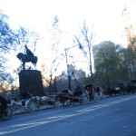 IMG_4589