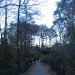 IMG_4592