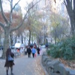 IMG_4608