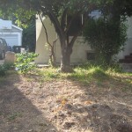 IMG_5786 IMG_5786