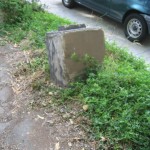 IMG_5803 IMG_5803