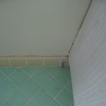 IMG_5866 IMG_5866
