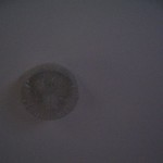IMG_5881 IMG_5881